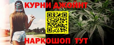 прущие грибы Славянск-на-Кубани