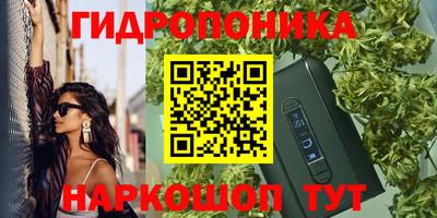 прущие грибы Славянск-на-Кубани