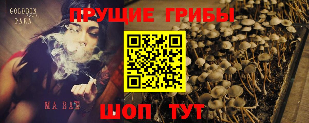 Галлюциногенные грибы Psilocybine cubensis  Вход с VPN  Орехово-Зуево 