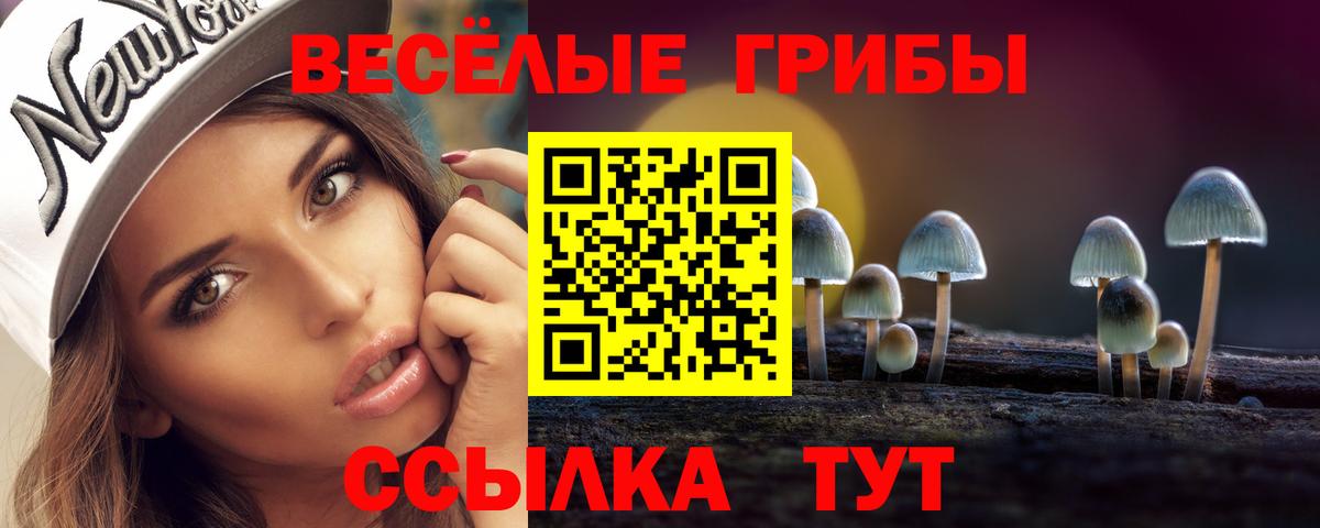 Псилоцибиновые грибы прущие грибы Орехово-Зуево